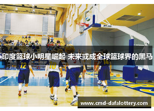 印度篮球小明星崛起 未来或成全球篮球界的黑马